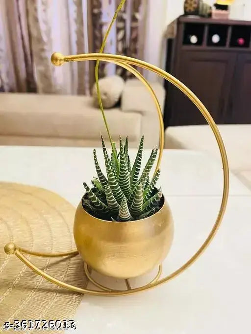 Whats Trendy Moon-Shaped Gold Metal Vase