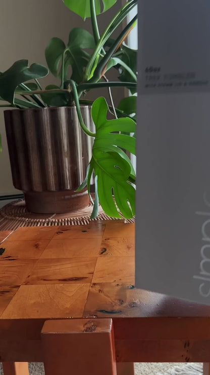 1200 ML Stainless Steel Tumbler with Handle & Straw